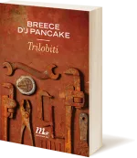 pancake_3d_tn_150_173