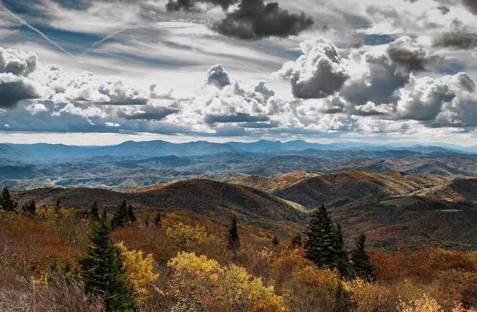 virginia-i-monti-appalachi-nella-jefferson-national-forest