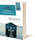 dambrosio_3d_tn_150_173