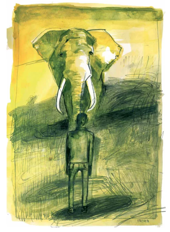 Illustrazione di Patrizia Beretta