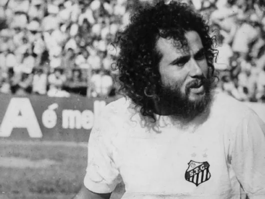 imagem202-1