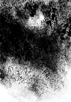 LE_MALERBE p. 386_page-0001