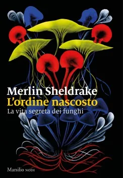Immagine 1 l'ordine nascosto
