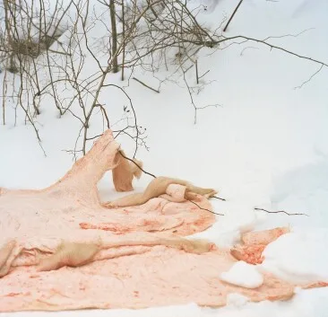 Jonathan Levitt, Untitled, Echo Mask