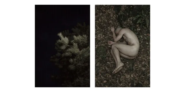 Angelo Marinelli, Leaves of grass - Here the Frailest Leaves of Me #3 – 2017