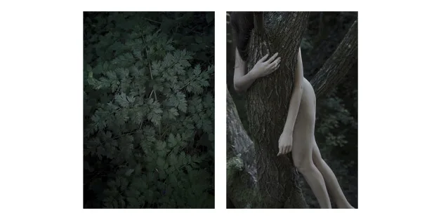 Angelo Marinelli, Leaves of grass-2016