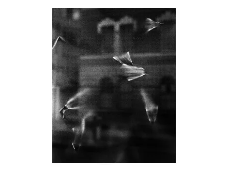 Sara Cucè, «City (e)scape»