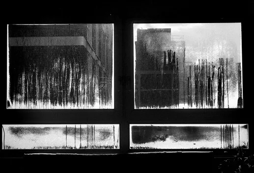 Sara Cucè, «I am Rooted but I Flow»