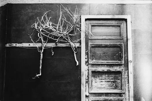 Sara Cucè, «Untitled», This Body